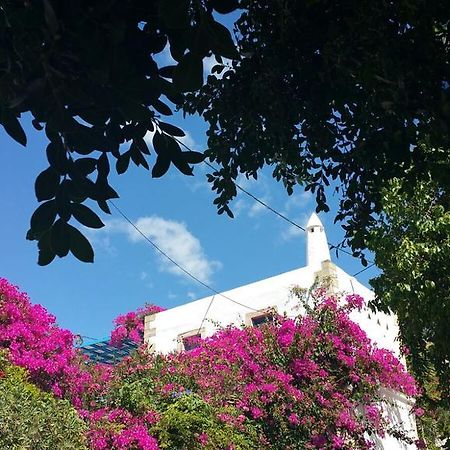 Xenonas Διαμέρισμα Καμηλάρι Εξωτερικό φωτογραφία