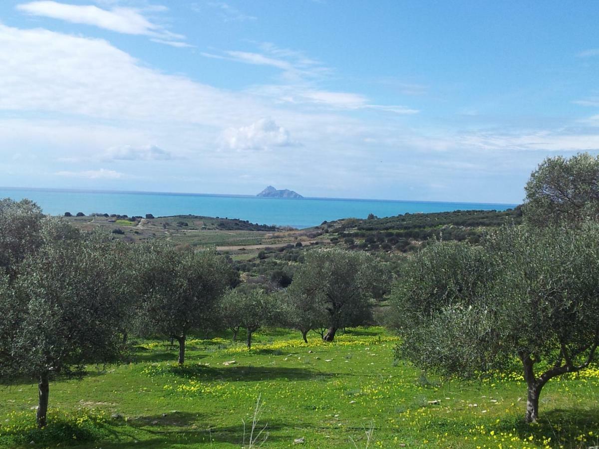 Xenonas Διαμέρισμα Καμηλάρι Εξωτερικό φωτογραφία
